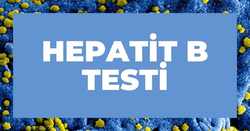 Hepatit B Testi