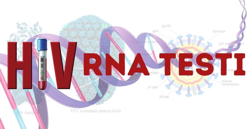 HIV RNA Pcr Testi