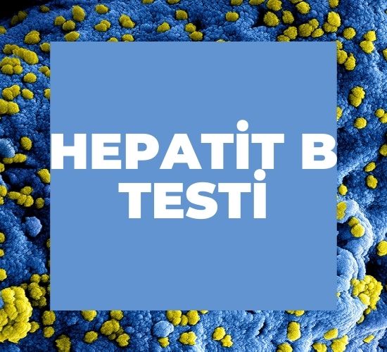 HPV Nasıl Bulaşır ?