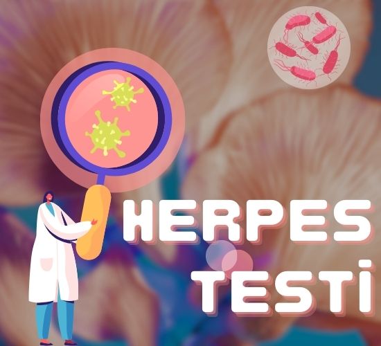 Herpes Testi