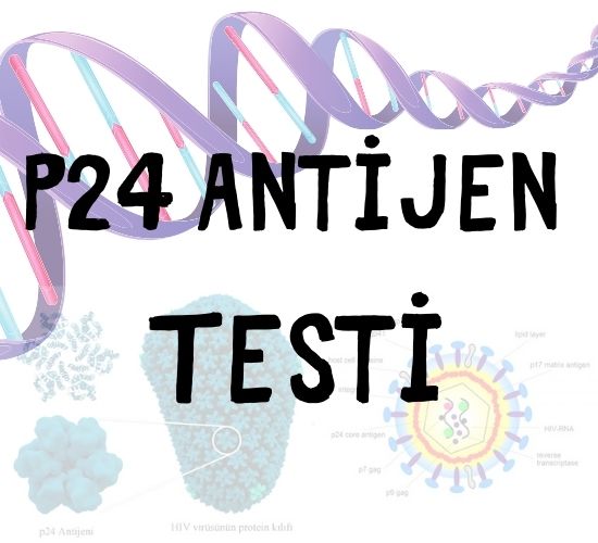 HIV p24 Antijen Testi
