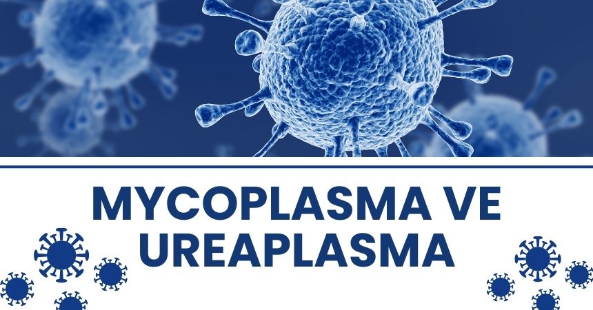 Mycoplasma ve Ureaplasma